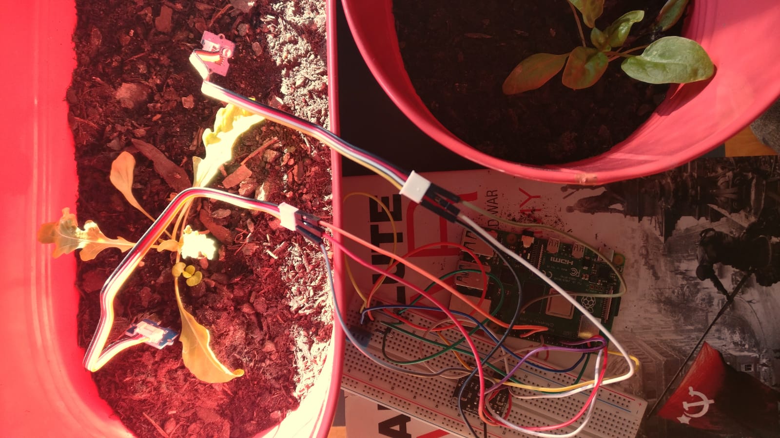 Automated Plant Monitoring
